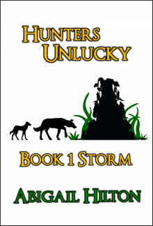      Hunters Unlucky, Book 1 Storm