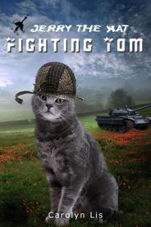      Fighting Tom (Jerry the Kat series)