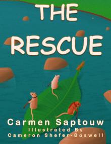      The Rescue