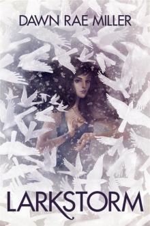      Larkstorm (The Sensitives #1)