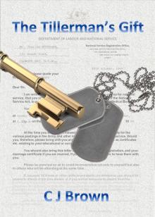      The Tillerman's Gift