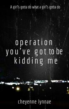      Operation You've Got To Be Kidding Me