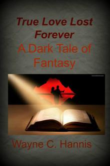      True Love Lost Forever: A Dark Tale of Fantasy
