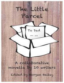      The Little Parcel