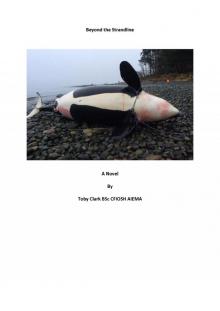      Beyond the Strandline