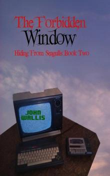      The Forbidden Window (Hiding from Seagulls Book 2)