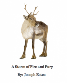      A Storm of Fire and Fury
