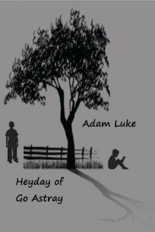      Heyday of Go Astray