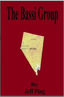      The Bassi Group