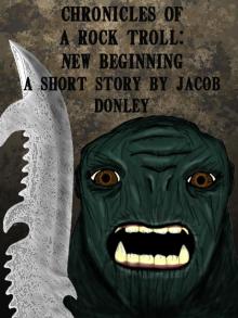     Chronicles of a Rock Troll:  New Beginning