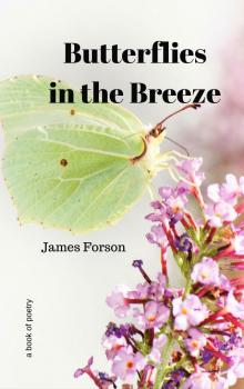      Butterflies in the Breeze