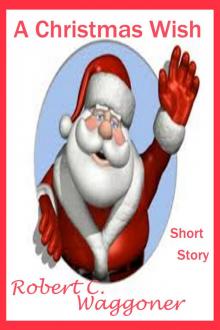      A Christmas Wish