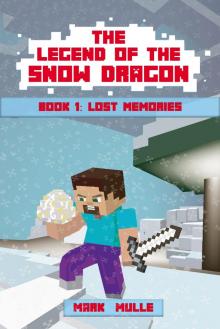      The Legend of the Snow Dragon, Book 1: Lost Memories