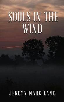      Souls In The Wind