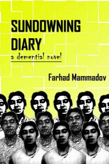      Sundowning Diary - part 2