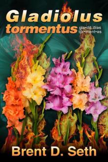      Gladiolus tormentus