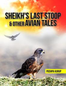      Sheikh's Last Stoop & Other Avian Tales