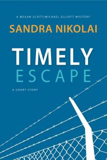      Timely Escape (A Short Story)