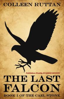      The Last Falcon: Book 1 of the Cael Stone