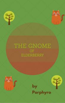      The Gnome of Elderberry