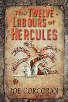      The Twelve Labours of Hercules