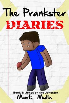      The Prankster Diaries, Book 1: Jokes on the Jokester