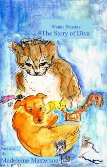      Wonka Presents! 'The Story of Diva'  - Part one