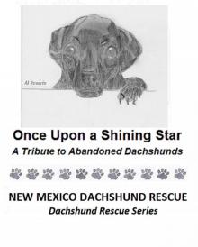      Once Upon a Shining Star