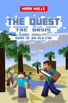      The Quest: The Oasis, Book 10: An Old Foe