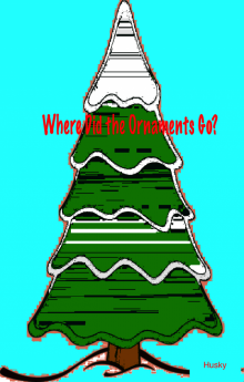      Where Did The Ornaments Go ?