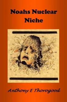      Noahs Nuclear Niche