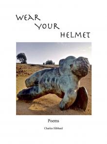      Wear Your Helmet