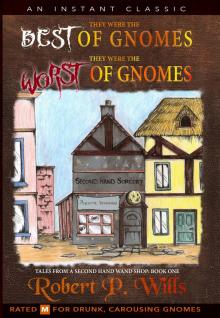      Tales From a Second Hand Wand Shop- Book 1: They Were the Best of Gnomes. They Were the Worst of Gnomes.