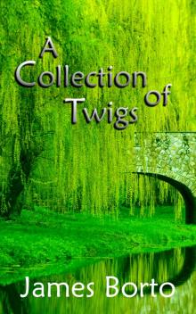      A Collection of Twigs