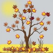      Adaptive Among the Hidden