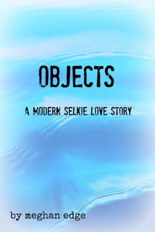      OBJECTS: A Modern Selkie Love Story