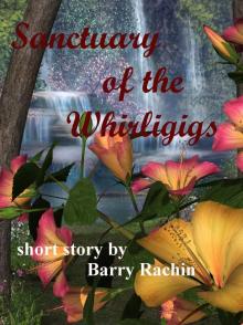      Sanctuary of the Whirligigs
