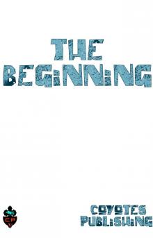      The Beginning