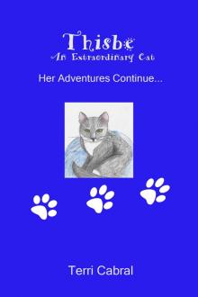      Thisbe An Extraordinary Cat  Her Adventures Continue...