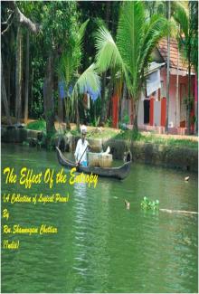      The effect of the entropy (Logical Poems)