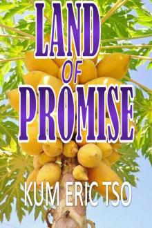      Land of Promise