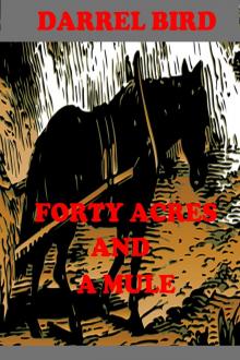     Forty Acres and a Mule