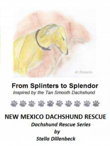      From Splinters to Splendor