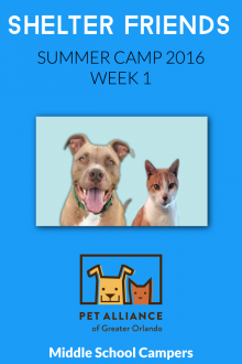      Shelter Friends Summer Camp 2016:  Week 1