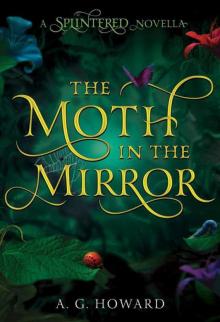      The Moth in the Mirror