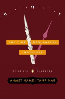      The Time Regulation Institute