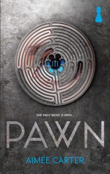      Pawn