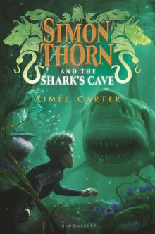      Simon Thorn and the Shark's Cave