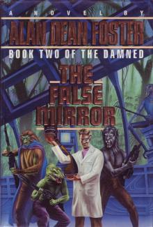      The False Mirror