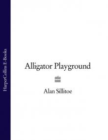      Alligator Playground